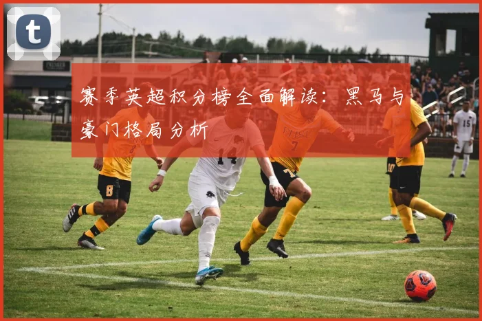 赛季英超积分榜全面解读：黑马与豪门格局分析