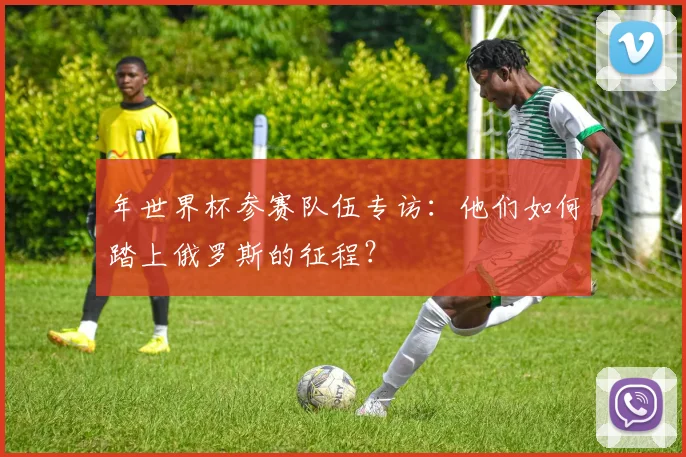 年世界杯参赛队伍专访：他们如何踏上俄罗斯的征程？