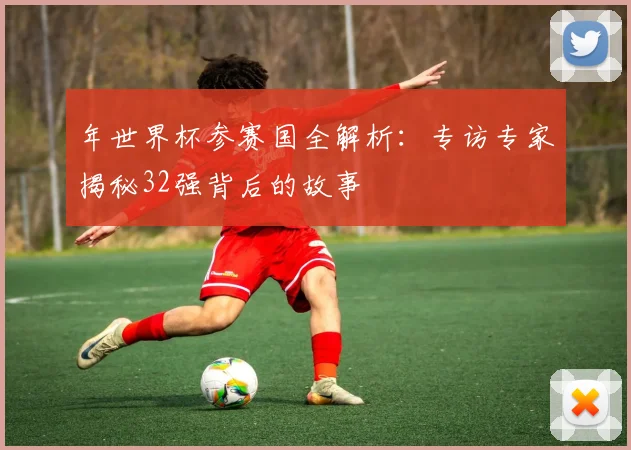 年世界杯参赛国全解析：专访专家揭秘32强背后的故事