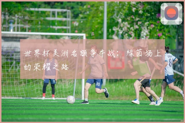 世界杯美洲名额争夺战：绿茵场上的荣耀之路